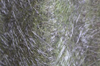 Restrop fibreglass roof work